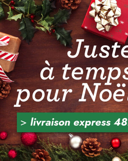 livraison rapide pour noel