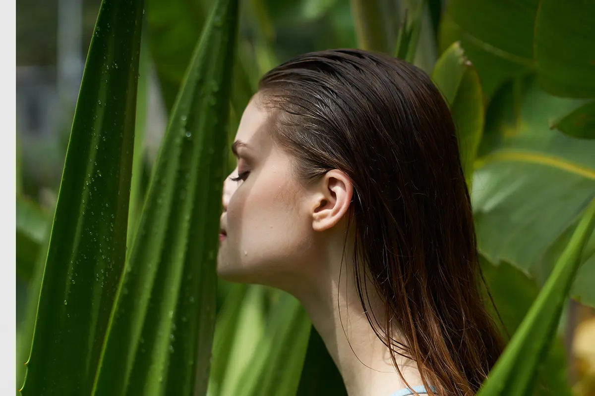 Comment Utiliser l'Aloe Vera pour des Cheveux Naturels Brillants et Sains